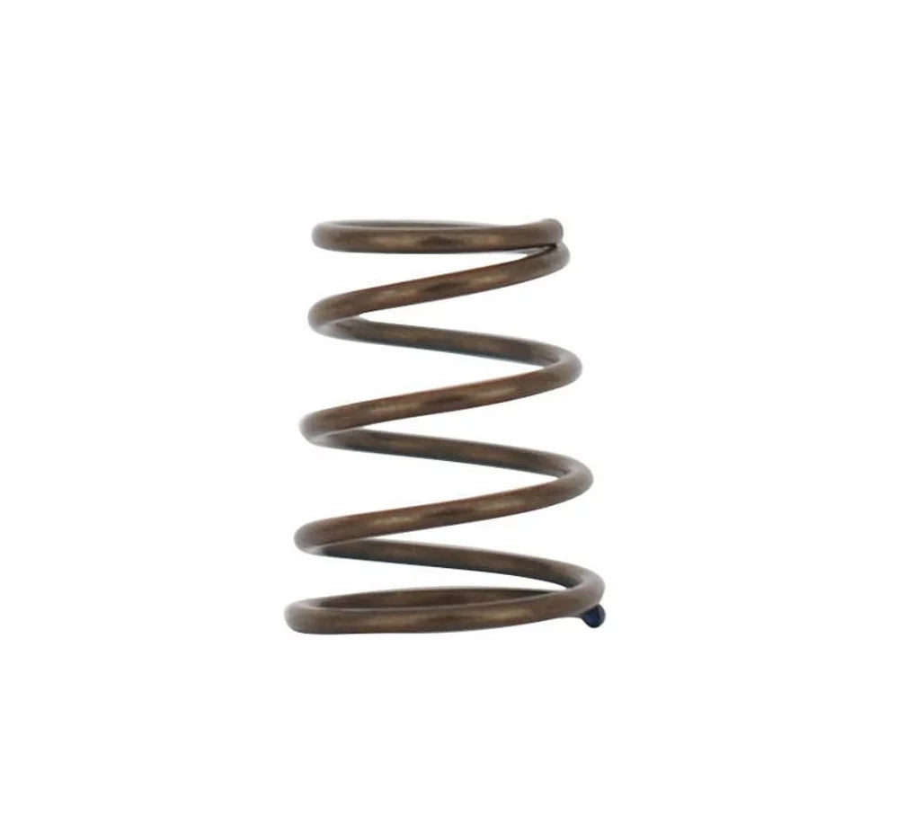 REPUESTO SPYDER BARREL GUIDE SPRING