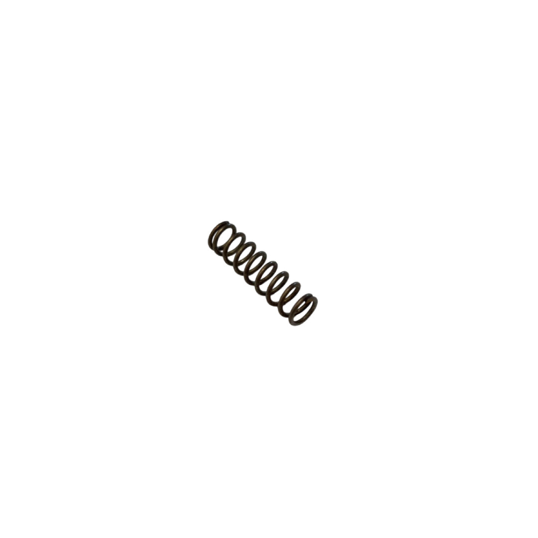 VALVE SPRING SNOWPEAK M60B 69#