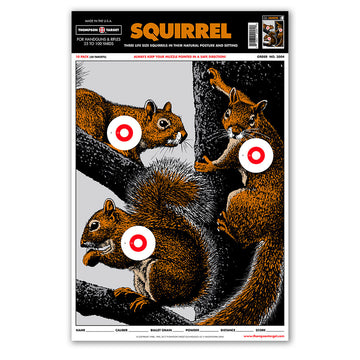 DIANA SQUIRREL 12.5X19 PAPER HUNTING TARGETS (2004)