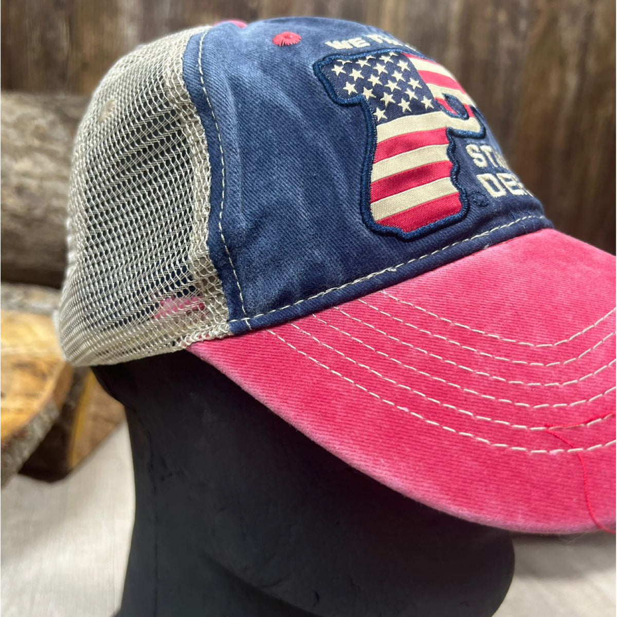 GORRA CAP SMITH STAND & DEFEND - vista 2