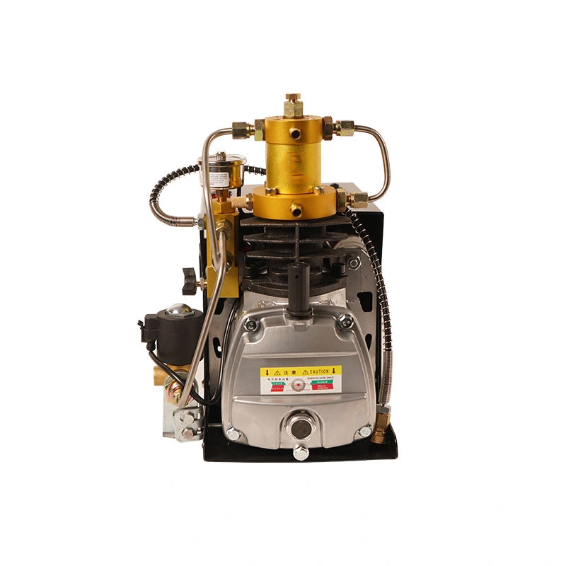 COMPRESOR PEQUEÑO FULL AIRGUNS ELECTRIC PCP AUTO RELEASE & AUTO STOP 4500PSI 300BAR 110V - vista 3