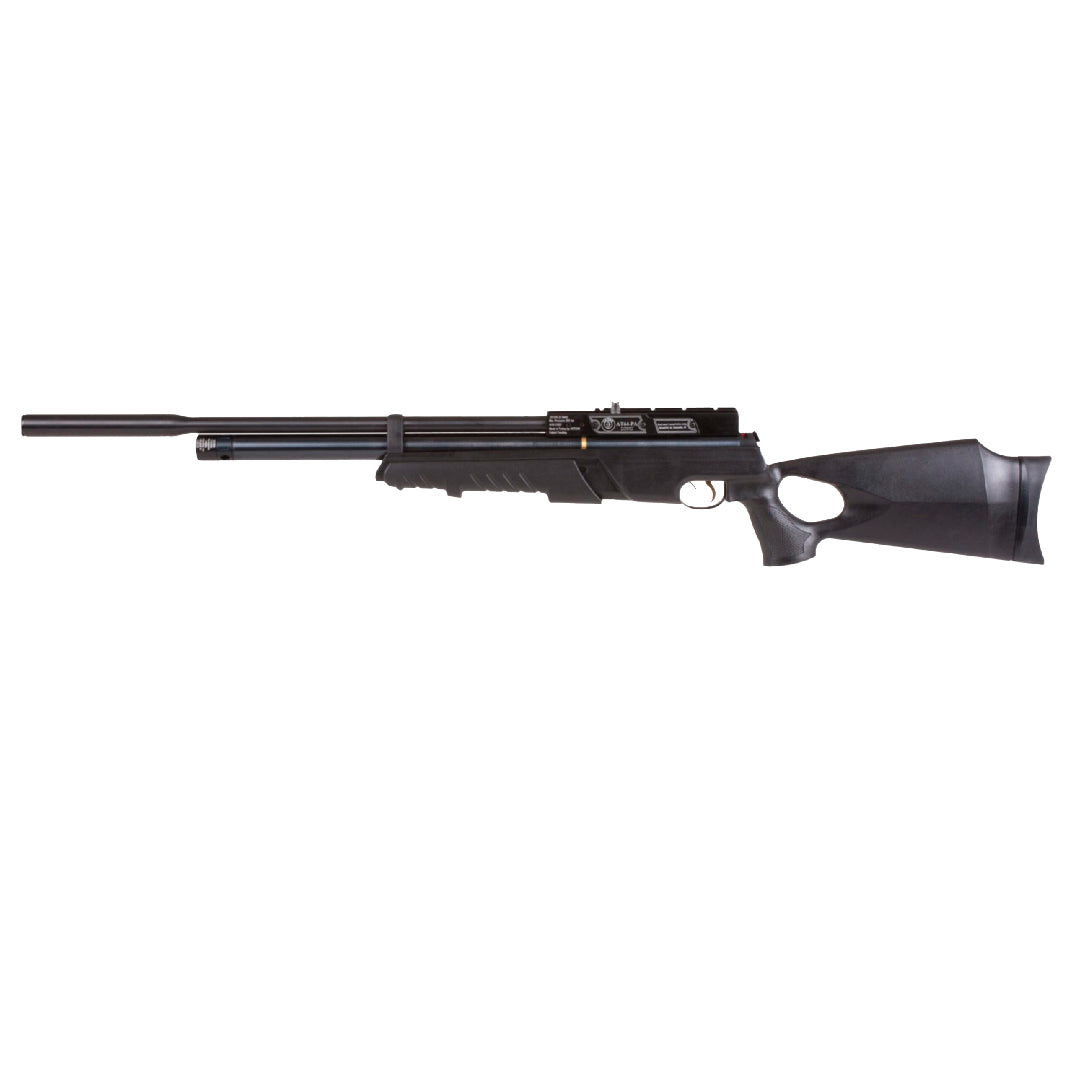 RIFLE HATSAN AT44PA-10 LONG QE .25